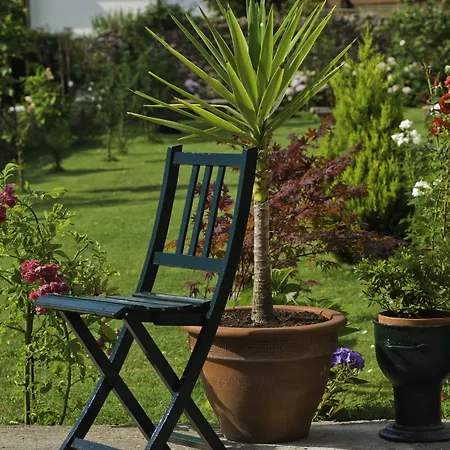 Casa De Don Guzman Mini-hôtel Vega de Pas